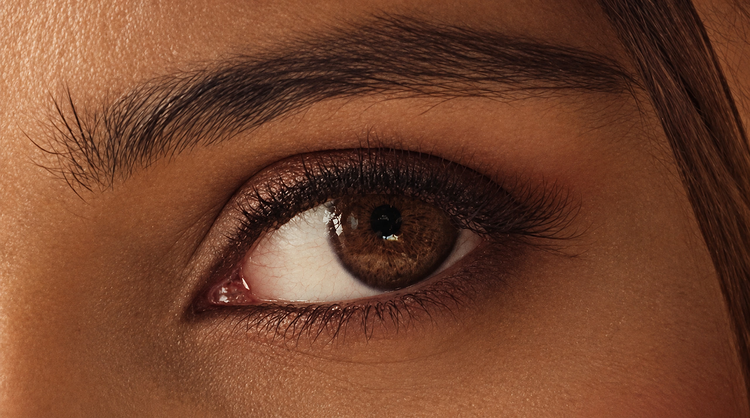 Eye Close-Up Macro